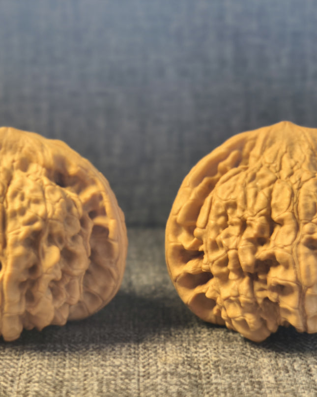 Collector Grade Raw Official Hat Wenwan Walnuts (50mm×40mm)