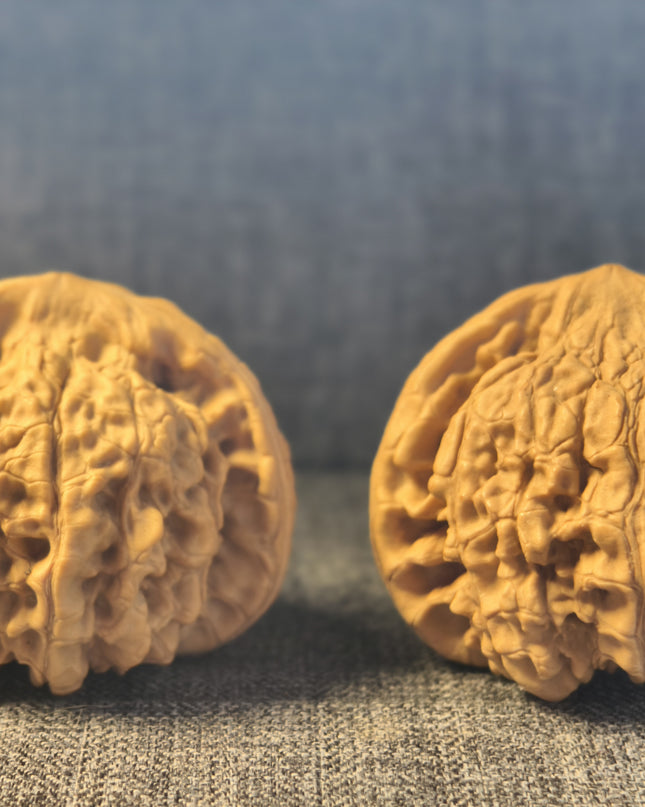 Collector Grade Raw Official Hat Wenwan Walnuts (50mm×40mm)