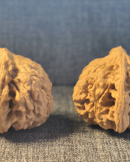 Collector Grade Raw Official Hat Wenwan Walnuts (50mm×40mm)