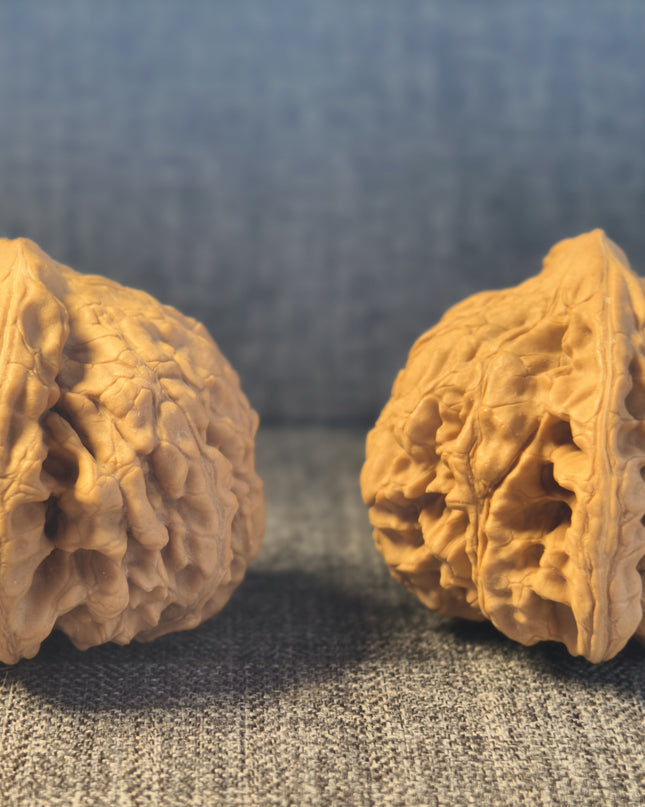 Collector Grade Raw Official Hat Wenwan Walnuts (50mm×40mm)