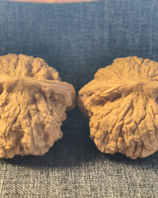 Collector Grade Raw Official Hat Wenwan Walnuts (50mm×40mm)