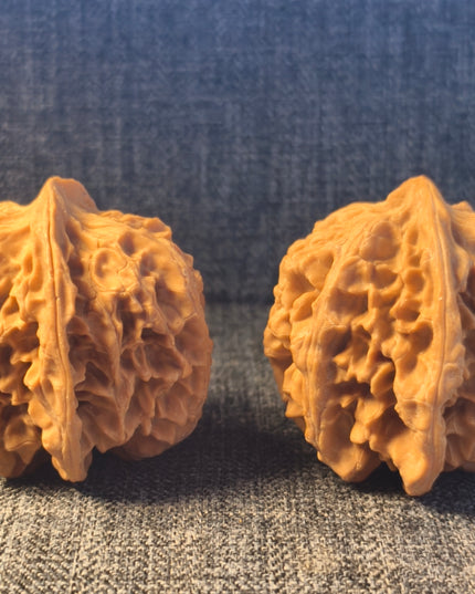 Apple Orchard Wenwan Walnuts38×38mm