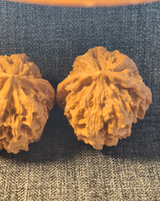 Apple Orchard Wenwan Walnuts38×38mm