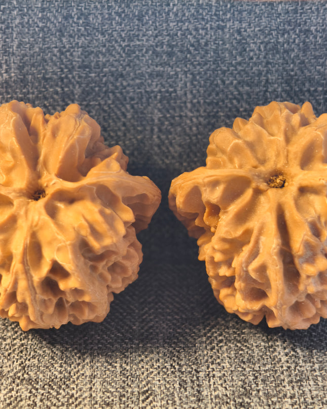 Apple Orchard Wenwan Walnuts38×38mm