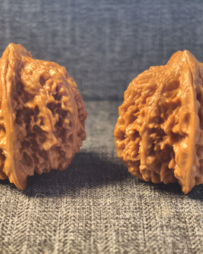 Collector Grade Raw Starry Sky Wenwan Walnuts (38mm×40mm)
