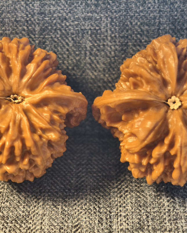 Collector Grade Raw Starry Sky Wenwan Walnuts (38mm×40mm)
