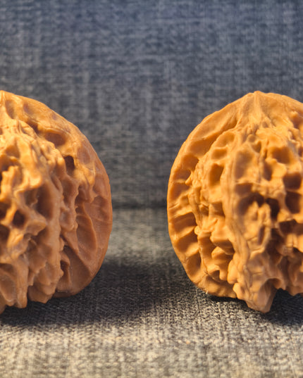 Apple Orchard Wenwan Walnuts 38×40mm
