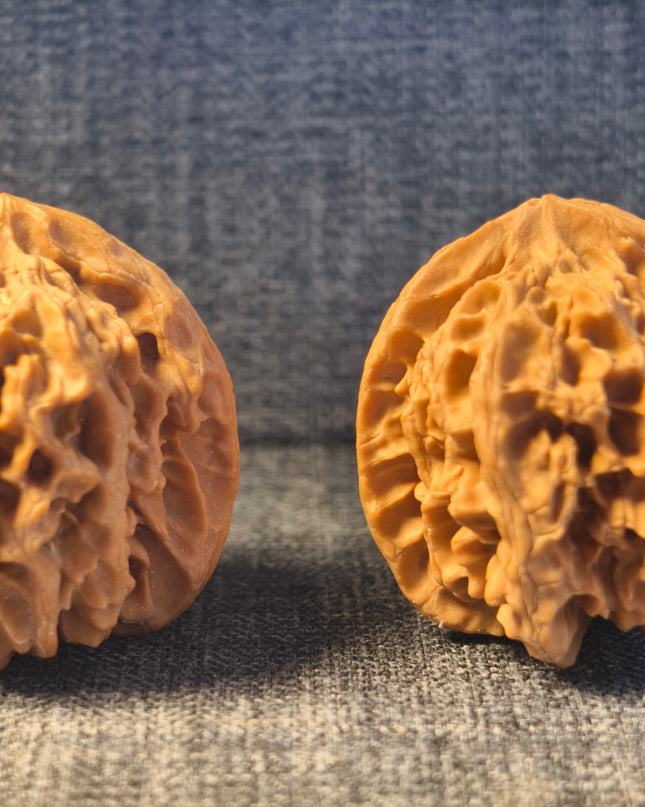 Apple Orchard Wenwan Walnuts 38×40mm