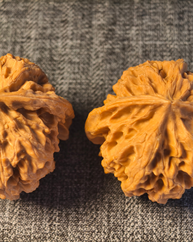 Apple Orchard Wenwan Walnuts 38×40mm