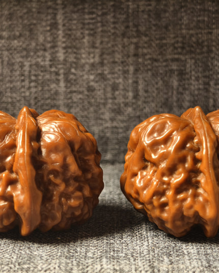 Collector Grade Patinated Golden Toad Lion Head Wenwan Walnuts (38×31mm, 6-Month Played)