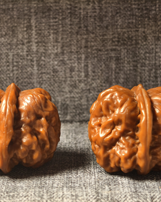Collector Grade Patinated Golden Toad Lion Head Wenwan Walnuts (38×31mm, 6-Month Played)
