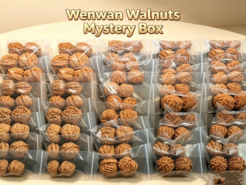 Wenwan Walnut Mystery Box