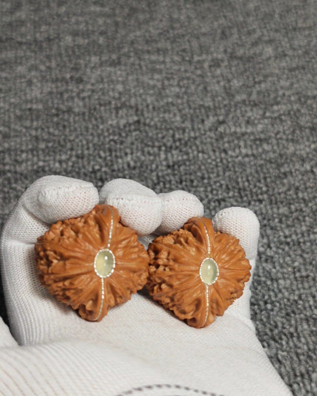Premium White Lion Wenwan Walnuts