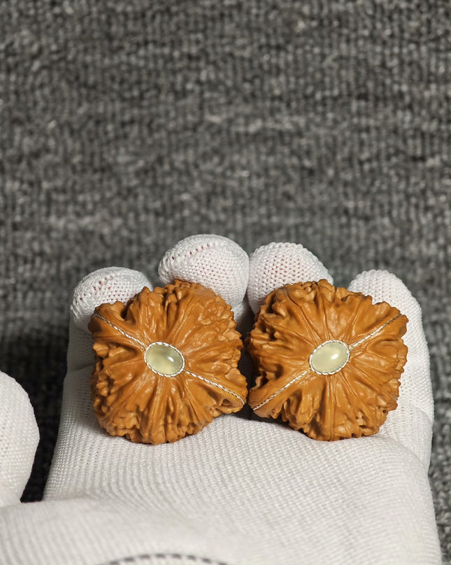 Premium White Lion Wenwan Walnuts