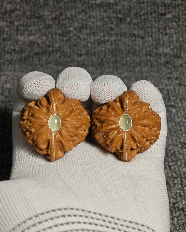 Premium White Lion Wenwan Walnuts