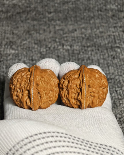 Premium White Lion Wenwan Walnuts