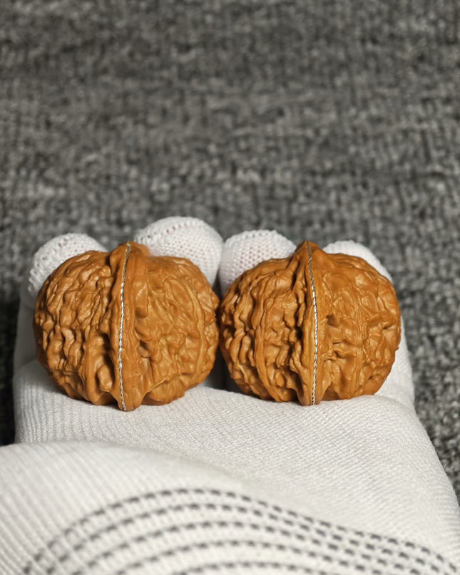 Premium White Lion Wenwan Walnuts