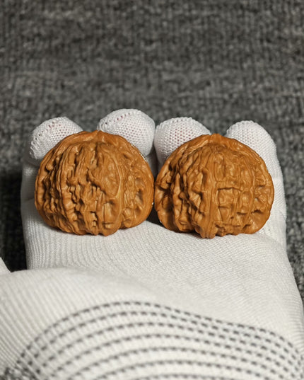 Premium White Lion Wenwan Walnuts