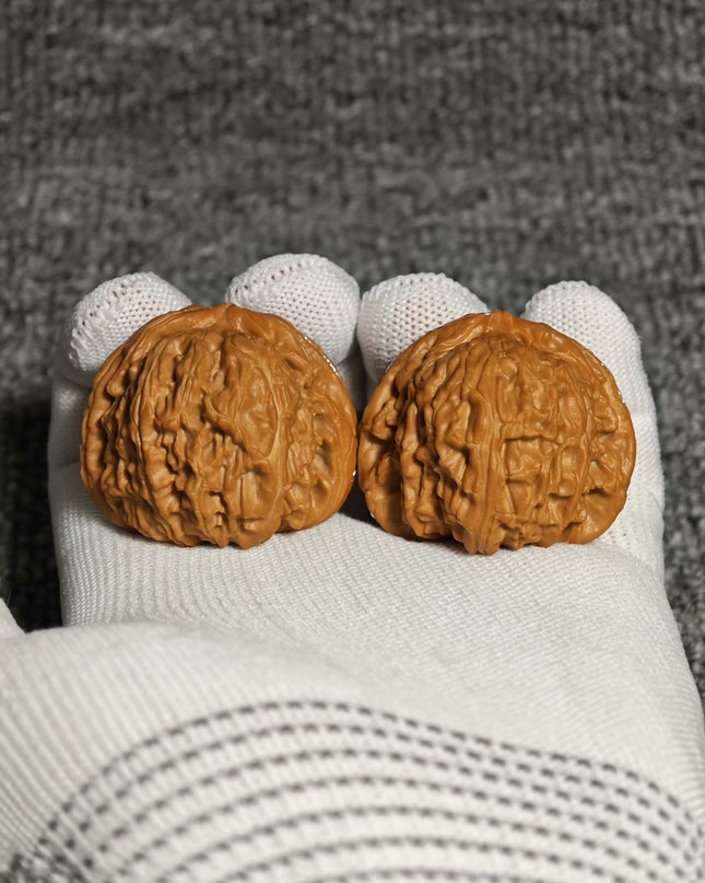 Premium White Lion Wenwan Walnuts