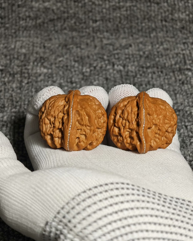 Premium White Lion Wenwan Walnuts
