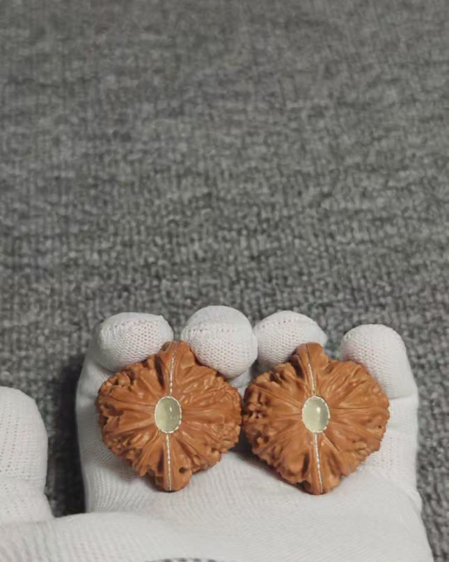 Premium White Lion Wenwan Walnuts